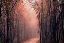 开云APP-曼联替补席深度成优势，冲击世俱杯冠军