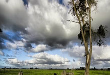 开云官网-鹿岛鹿角冲击季军，年轻球员表现亮眼