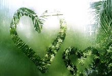 开云平台-狼队蓄势待发，猛犬将吞下对手