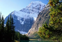 开云体育下载-阿尔艾因主场迎战帕尔梅拉斯，锋线火力引爆看点