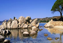 开云下载-战鼓擂响主场时：人心凝聚处，皆为吾疆土