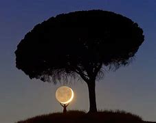 包含惊心一击:瓦拉多利德险胜闯关成功的词条 包含惊心一击:瓦拉多利德险胜闯关成功的词条