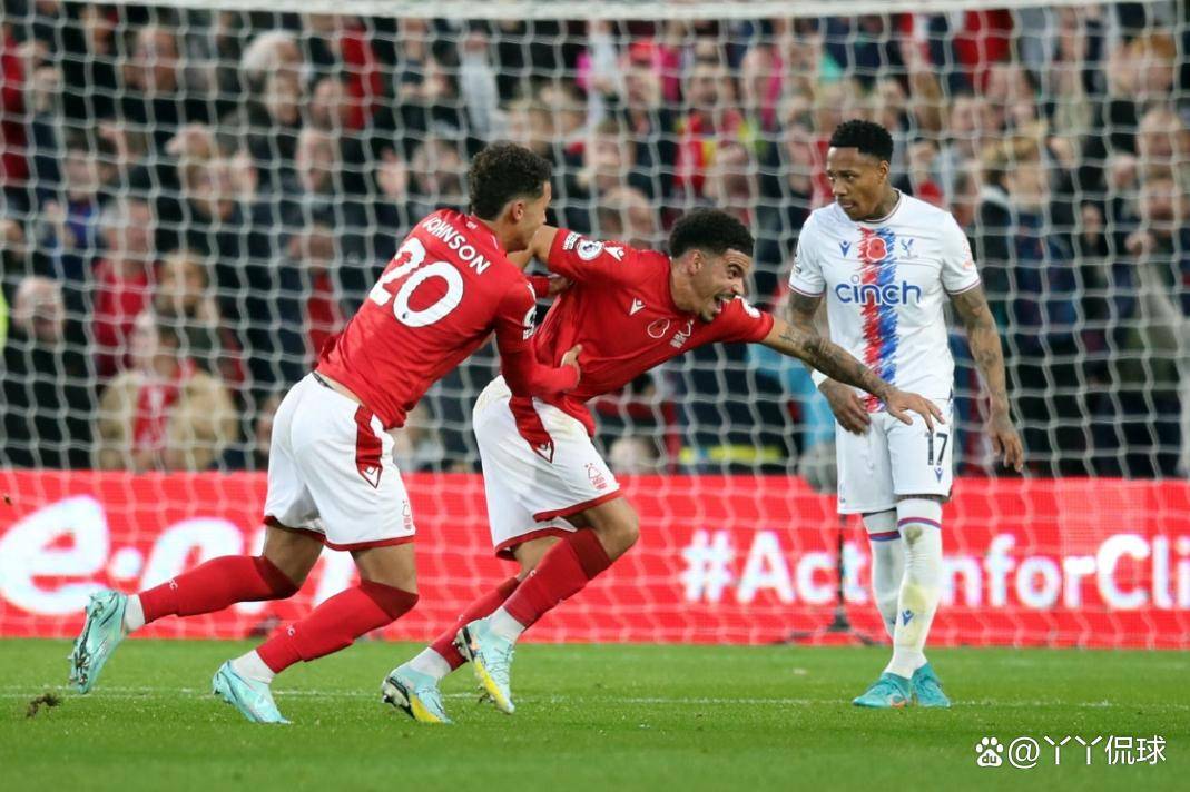 欧洲国家队决战时刻全力以赴备战 欧洲国家队决战时刻全力以赴备战