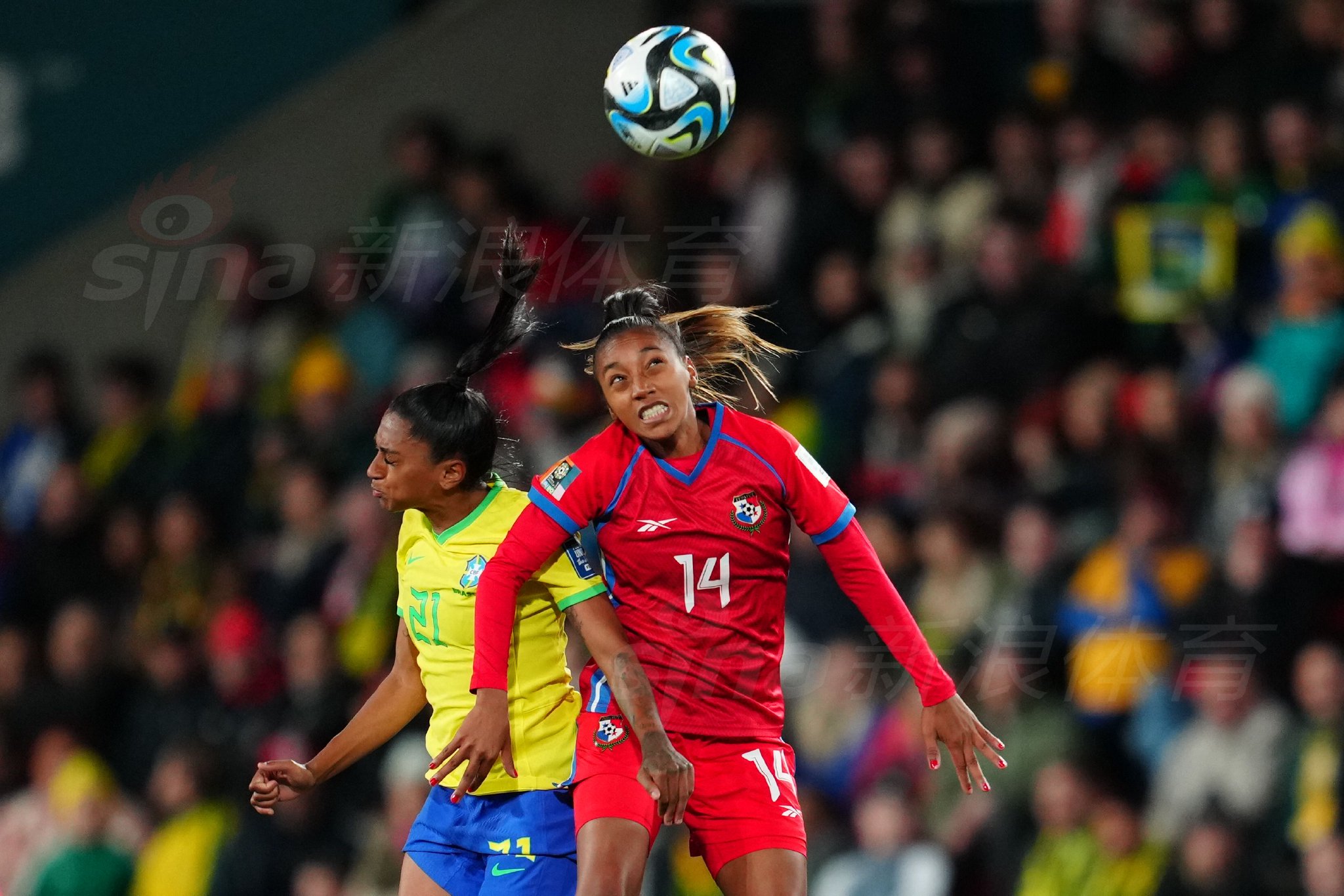 巴西女足国家队备战年女足世界杯的简单介绍