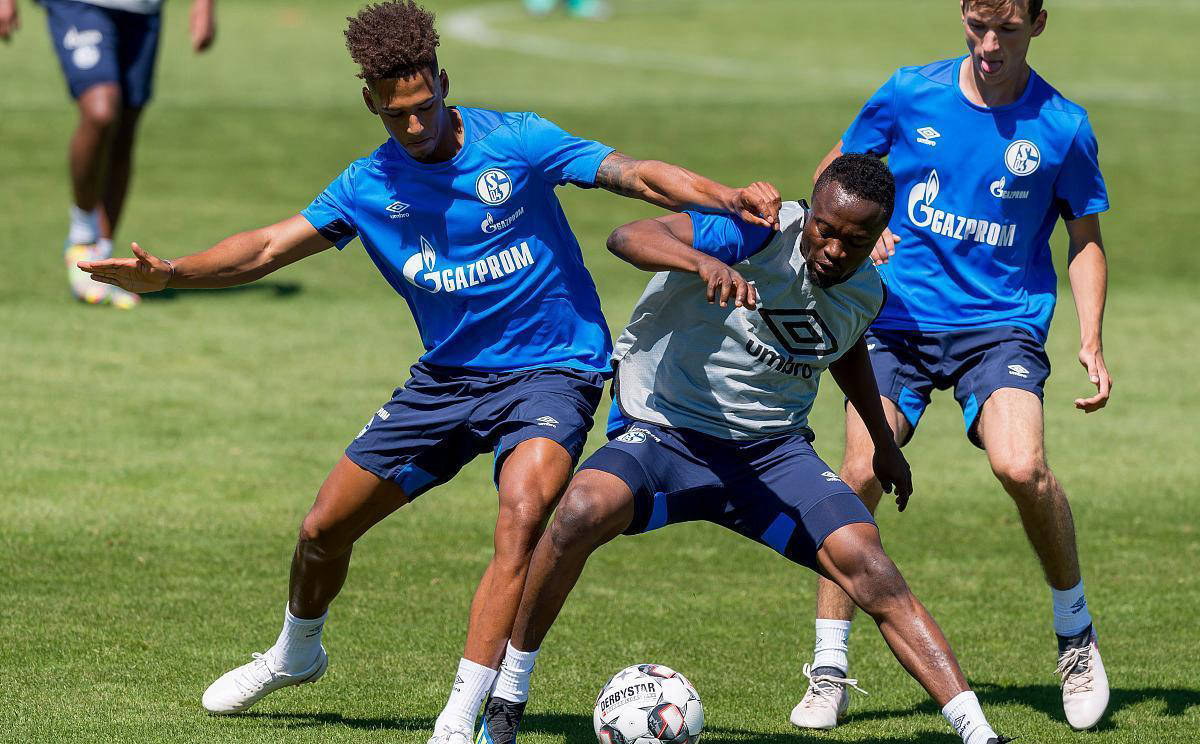 关于沙尔克主场瞩目:团队期望高涨的信息 关于沙尔克主场瞩目:团队期望高涨的信息