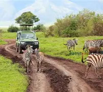 开云体育平台APP-坦桑尼亚联赛球队逆转晋级：桑德奥梅队挺进八强