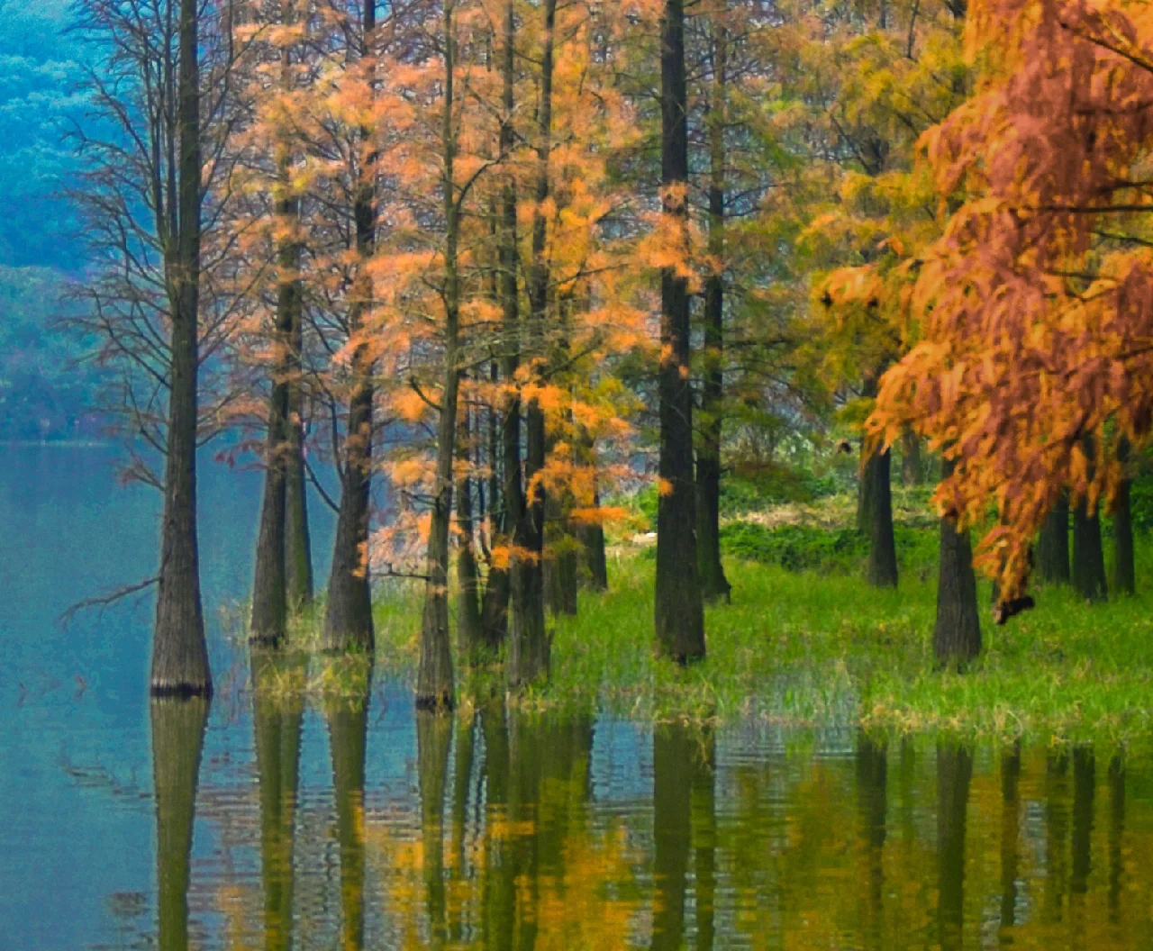 开云体育登录-西溪湿地保持良好节奏，风猛浪吼的简单介绍