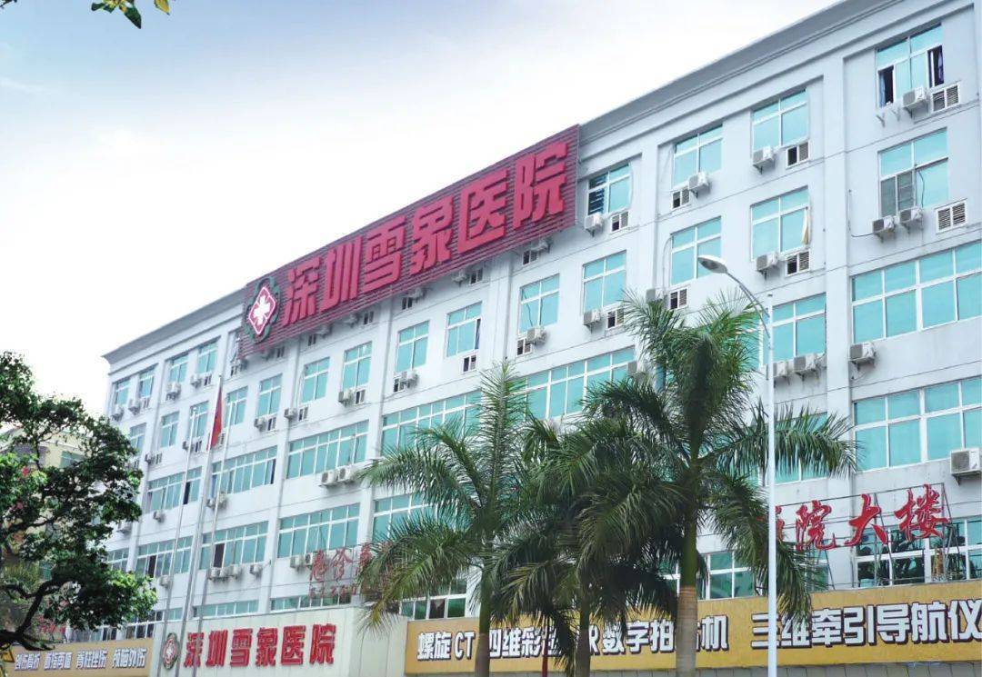 深圳佳兆业主场告捷，形势稳定积分领跑