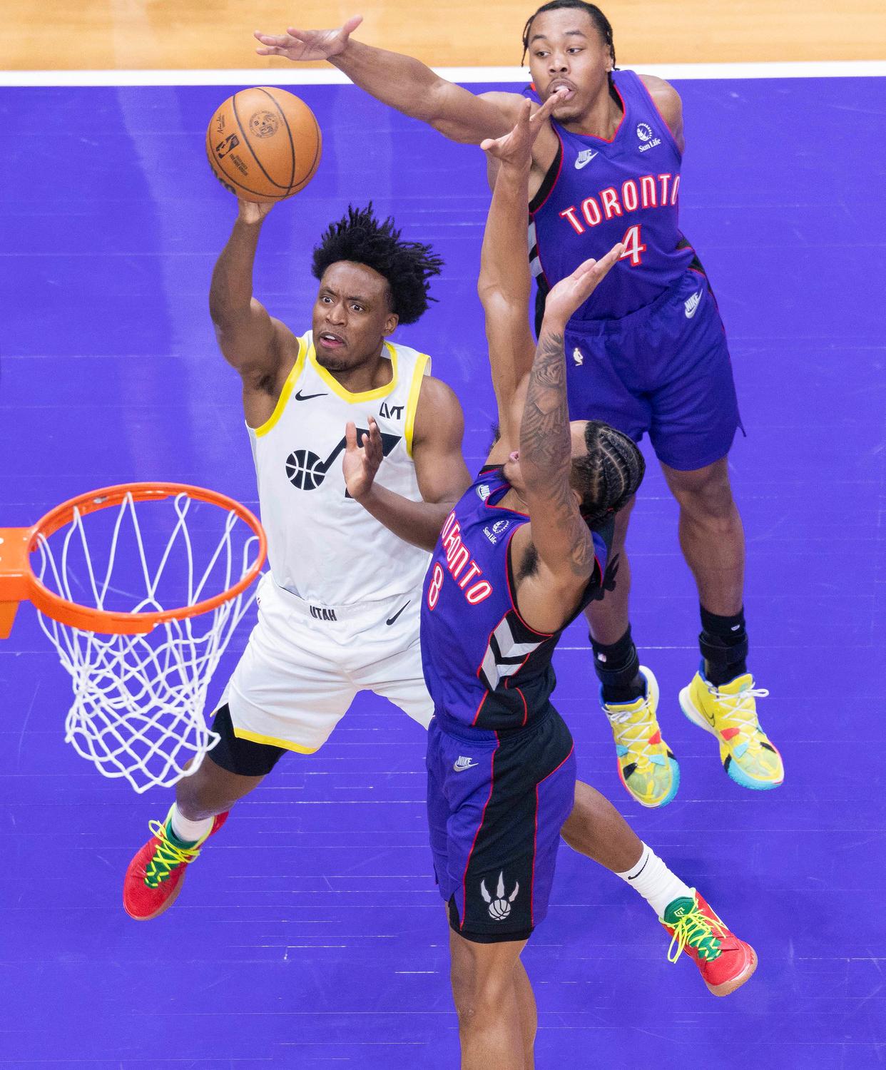 加拿大篮球联赛近况分析猛龙队取得连胜领先的简单介绍